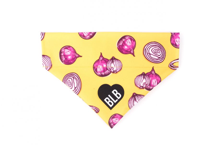 Polish Onion Bandamka