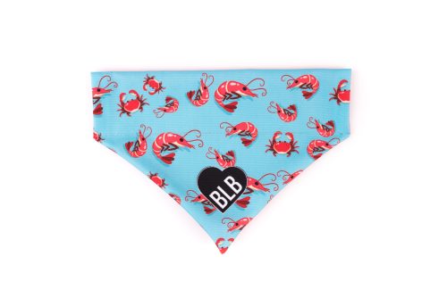 Bandamka Under The Sea