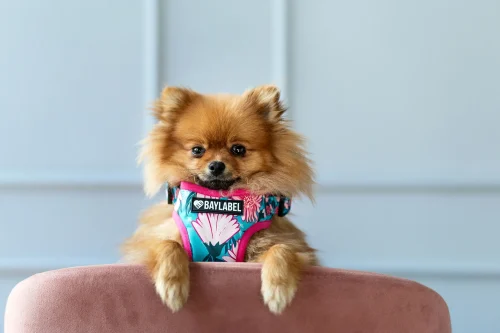 Warunki współpracy